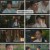 체크인 한양.E02.241222.1080p.H264-F1RST