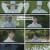 체크인 한양.E03.241228.1080p.H264-F1RST