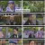 체크인 한양.E06.250105.1080p.H264-F1RST