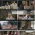옥씨부인전.E14.250119.1080p.H264-F1RST