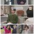 신데렐라 게임.E56.250220.1080p-F1RST