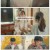 독수리 5형제를 부탁해!.E07.250222.720p-F1RST