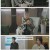 친절한 선주씨.E62.250227.1080p-F1RST