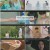천국보다 아름다운.E07.250510.720p-NEXT