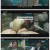 금주를 부탁해.E05.250526.1080p-F1RST