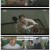 24시 헬스클럽.E12.250605.1080p-F1RST