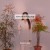[2023.05.10] 윤하 - YOUNHA Studio Live Album 'MINDSET' [FLAC+MP3]
