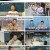개는 훌륭하다.E159.230130.1080p.H264-F1RST
