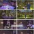 가요무대.E1784.230130.1080p.H264-F1RST