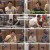 신발 벗고 돌싱포맨.E74.230131.1080p.H264-F1RST