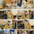 고독한 훈련사.E13.230202.1080p.H264-F1RST