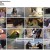 TV 동물농장.E1106.230205.720p-NEXT