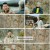 고독한 훈련사.E15.230216.1080p.H264-F1RST
