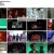 BORN TO 춤.E06.230218.720p-NEXT