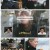 안싸우면 다행이야.E112.230220.1080p.H264-F1RST