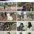 개는 훌륭하다.E162.230220.1080p.H264-F1RST