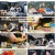 요즘 남자 라이프 - 신랑수업.E52.230222.1080p.H264-F1RST