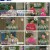 속풀이쇼 동치미.E536.230225.1080p.H264-F1RST