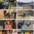 TV 동물농장.E1109.230226.1080p.H264-F1RST