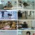 TV동물농장우린같이산다.E10.230302.1080p.H264-F1RST