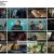 접속 무비월드.230304.720p