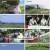 스윙스타 in SAIPAN.E05.230305.1080p.H264-F1RST