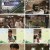 더 트래블로그.E04.230309.1080p.H264-F1RST