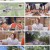 배틀트립2.E18.230311.1080p.H264-F1RST