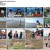 1박 2일 시즌4.E167.230312.1080p.H264-F1RST