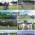 스윙스타 in SAIPAN.E07.230319.1080p.H264-F1RST