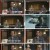 블랙2 영혼파괴자들.E02.230401.1080p.H264-F1RST