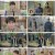 조선의 사랑꾼.E15.230403.1080p.H264-F1RST