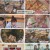 토요일은 밥이 좋아.E76.230610.1080p.H264-F1RST