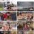 배틀트립2.E31.230610.1080p.H264-F1RST