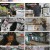 부산촌놈 in 시드니.E08.230612.1080p.H264-F1RST