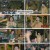비긴어게인 오픈마이크.E24.230613.1080p.H264-F1RST