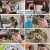 남의나라살아요선넘은패밀리.E37.240607.1080p.H264-F1RST