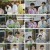 산따라물따라딴따라.E02.240608.1080p.H264-F1RST