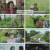 엄마, 단둘이 여행 갈래.E04.240616.1080p.H264-F1RST