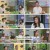 오은영의 금쪽 상담소.E137.240620.1080p.H264-F1RST