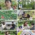 남의나라살아요선넘은패밀리.E39.240621.1080p.H264-F1RST