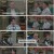 용감한 형사들 3.E42.240621.1080p.H264-F1RST