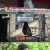 TV 동물농장.E1177.240623.720p-NEXT