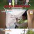 1박 2일 시즌4.E232.240623.720p-NEXT