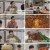 알토란.E495.240623.1080p.H264-F1RST
