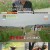 회장님네 사람들.E89.240624.720p-NEXT