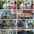 웰컴 투 장미골.E04.240625.1080p.H264-F1RST