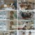 서진이네2.E01.240628.1080p.H264-F1RST