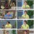 설록 네 가지 시선.E09.240702.1080p.H264-F1RST