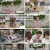 속풀이쇼 동치미.E607.240706.1080p.H264-F1RST